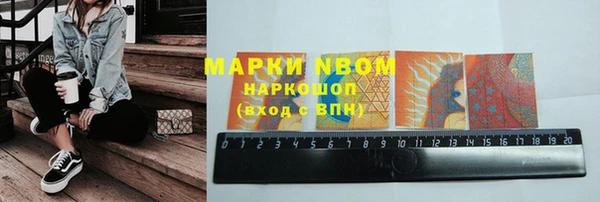 прущие грибы Беломорск