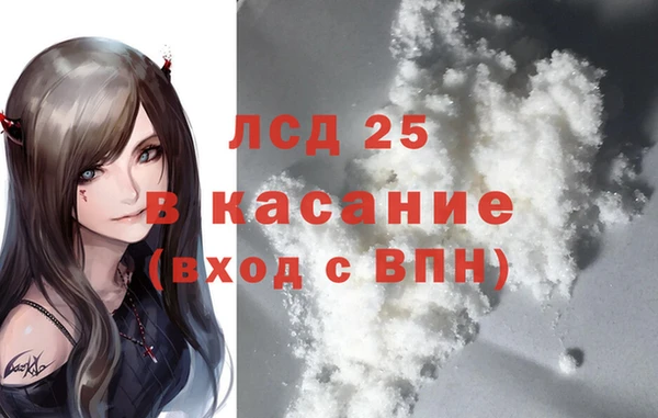 прущие грибы Беломорск
