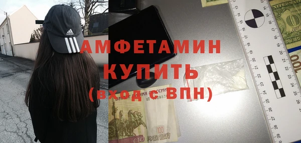 прущие грибы Беломорск